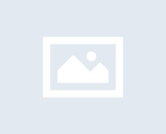 No-Image placeholder